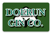 doerungin.com