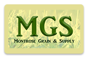 montrosegrain.com