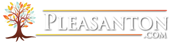 finance.pleasanton.com