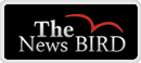 news.thenewsbird.com